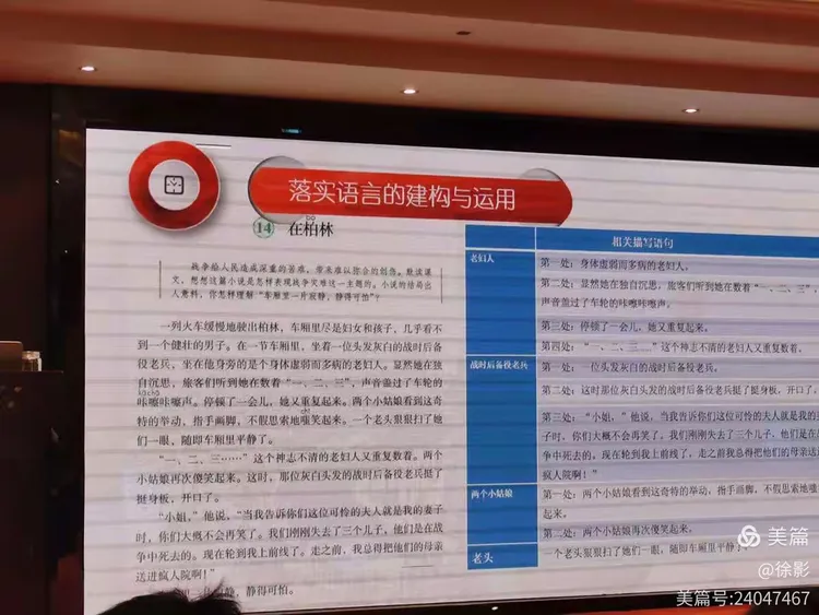 旭日东升打一准确生肖全面释义、构建解答解释落实